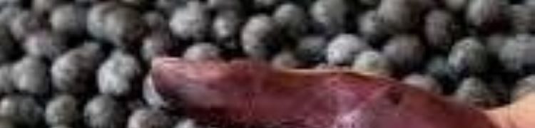 co je acai