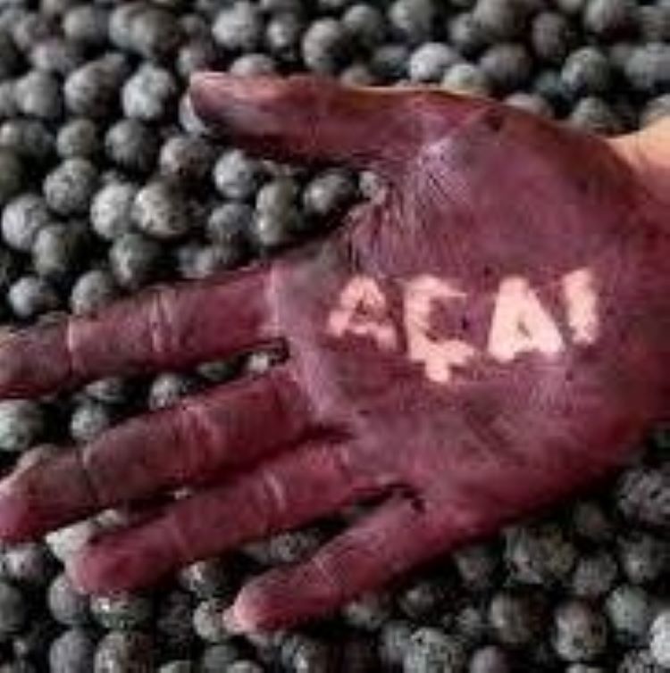 co je acai